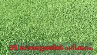 Making grass in D5 render. D5 Malayalam