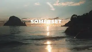Somerset By Alice Temperley