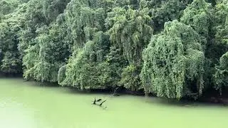 Supa Dam - KA