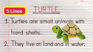 5 Lines On Turtle In English || 5 Lines On Turtle In English || Essay On Turtle In English ||