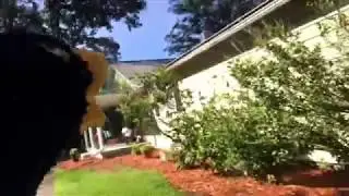 Carl The Crow&rsquo;s Nerf gun