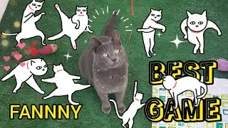 My cat's crazy game😁#cat #funny #gaming #interesting #comedy #animals #sweet