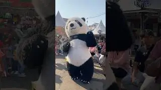 Boneka Panda Lucu #mainan #mainananak #lucu #gemas #shorts #foryou #fyp #badut #panda