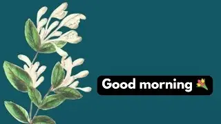 Good morning flower messages