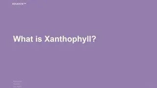 What is Xanthophyll?