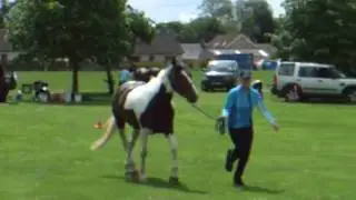 Scottish Endurance Championships, Perth, - Polly's story