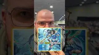 Выиграет ли Mermail YCS Dortmund?? #yugioh #yugiohtcg @InsideMind_YGO