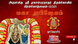 அருள்மிகு ஏகாம்பரநாதர் திருக்கோவில்  திருவிழா - நாள் 7 - மகா அபிஷேகம்  | Sri Kanchi TV