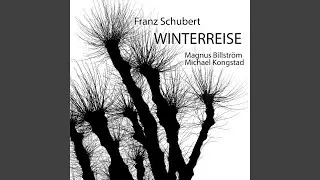 Winterreise, D.911: NO. 4. Erstarrung