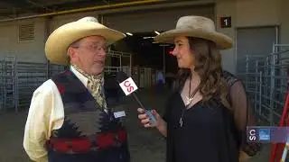 Calgary Stampede Roving Reporter - Miniature Chuckwagons