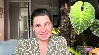 Агротехника алоказии Регал Шилдс