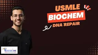 DNA Repair | Molecular biology for USMLE