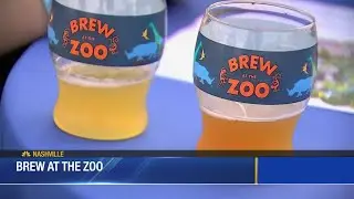 Brew at the Zoo