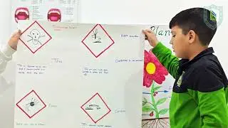 ⚠️📘 Sixth Grade Project Presentations | International Hazard Symbols 📘⚠️