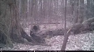A Drama Unfolds