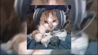 heart skips a beat - olly murs (sped up)