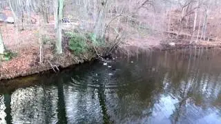 Lake Celeste In Garrison Ny  With My Phantom 3