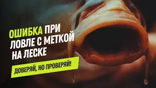 Вы НЕ ЛОВИТЕ КАРПА по ЭТОЙ ПРИЧИНЕ! Ошибка с меткой на леске! Карпфишинг советы