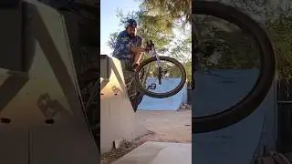 29&rdquo; BMX TRICKS #bmx #bikelife #sebikes #shorts #bigbmx #bigbike #fyp