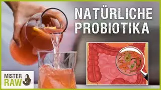 Nat&uuml;rliche Probiotika - Fermentation Wasserkefir & Kombucha
