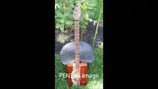 Cigar Box Guitar