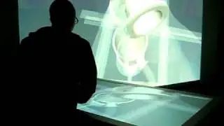 Multitouch plant evaluation in VR