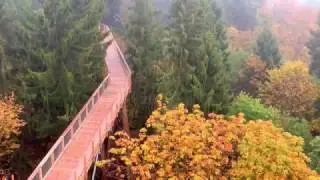Baumwipfelpfad Orscholz