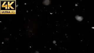4k Best Free Snow Falling (Stock Footage) #4
