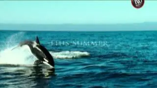 Arctic Tale - Trailer
