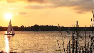 Experience Romance at Sandaway Suites & Beach: Chesapeake Bay Hotel in Oxford, MD 🌊 #romanticgetaway