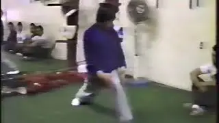 Kung fu training videos