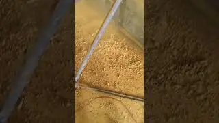 Haldi tukda machine, turmeric Daliya machine more details +91 88716 86000