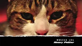 Heavy Petter - Murder Log