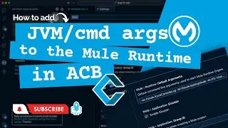 How to add JVM/Command-line arguments to the Mule 4 Runtime in Anypoint Code Builder (ACB)