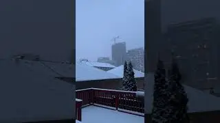 Lake Affect Wet Snow #shorts #canada #snow #trending