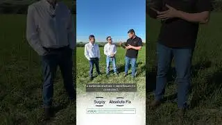 Produtividade campe&atilde; com o CESB e manejo IHARA.