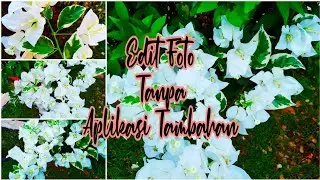 Edit Foto Tanpa Aplikasi Tambahan | Edit Foto Keren | Tutorial Android