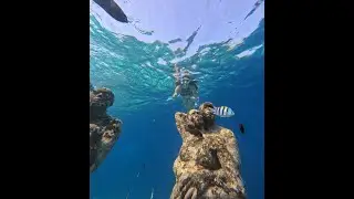 Snorkeling Gili Meno Statues Point