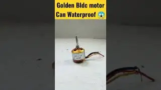 Golden Bldc motor Can Waterproof #shorts