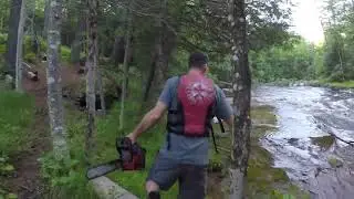 Brule River State Forest, Campground and Park tree removal