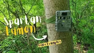 Spartan Lumen Trail Camera Test &mdash; Perfect for Hunting & Wildlife Monitoring