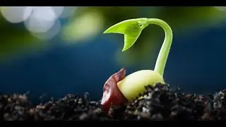 Lesson 2 &ndash; How to Have Faith