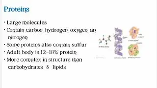 Proteins and Bindings Site Characteristics