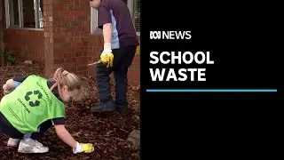 Hobart students are learning to do the right thing with food waste | ABC News