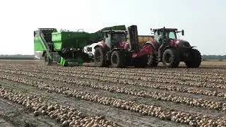 uien op rapen met case 220 met avr spirit 9200