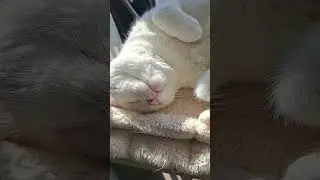 Trying not to wake him