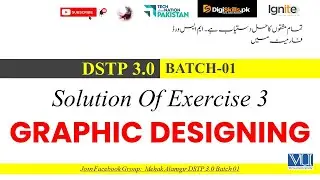 digiskills graphic designing exercise 3 solution 2025 | dstp 3.0 batch 01