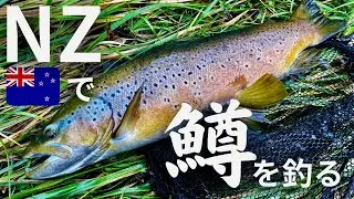 衝撃サイズ連発！！NZでトラウトミノーイング。