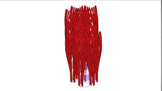 Revealing the remarkable nanostructure of human bone