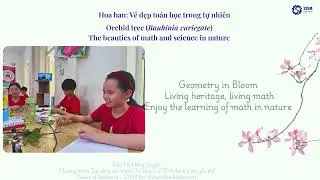 Orchid tree (Bauhinia variegata) - The beauties of math and science in nature